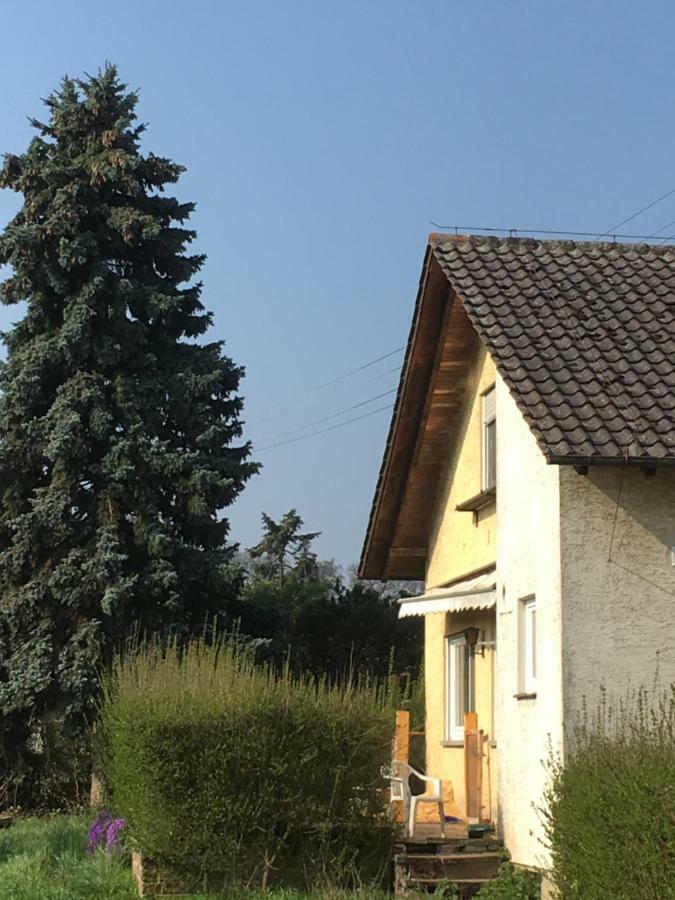 Riedwiesen Бад Рапенау Екстериор снимка